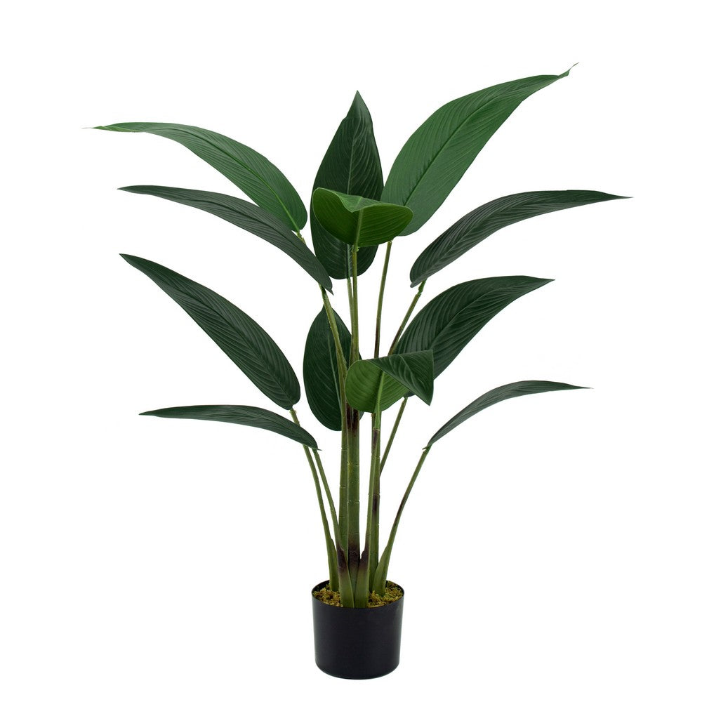 Bird of Paradise Tree in Pot | Afterpay | Zip Pay | 1825 Interiors